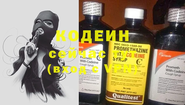 сатива Гусев