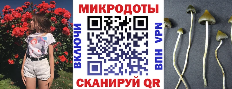Псилоцибиновые грибы ЛСД Владикавказ
