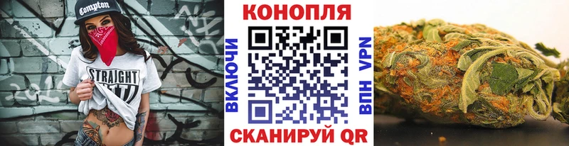 Шишки марихуана план что такое MEGA вход Владикавказ